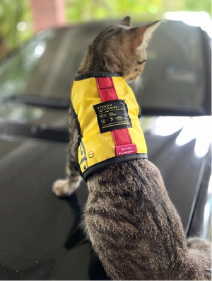 Soggy No-More Pet Vest