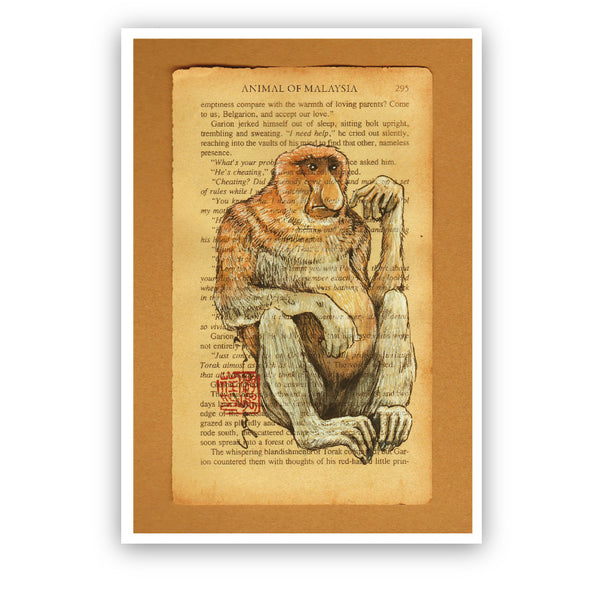 MUOC Malaysia Animal Postcard - Proboscis Monkey