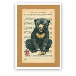 MUOC Malaysia Animal Postcard - Sun Bear